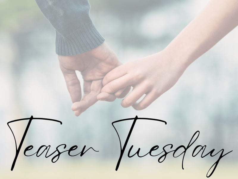 Teaser Tuesday
